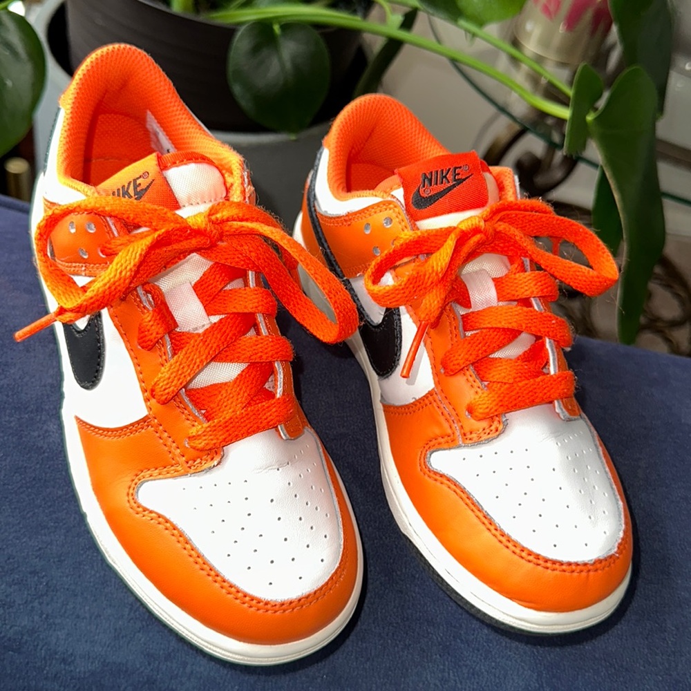 Nike Dunk Low